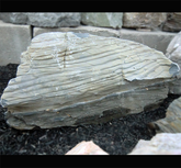 Photo of Bubble Rock 44 Metamorphic (Large) - Marquis Gardens
